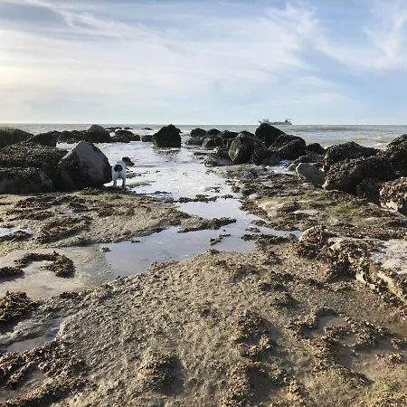 Zee Rust Oostende